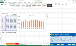 Find out how to enhance spreadsheets with charts and graphs with Excel 2013.
