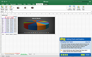Find out how to enhance spreadsheets with charts and graphics.