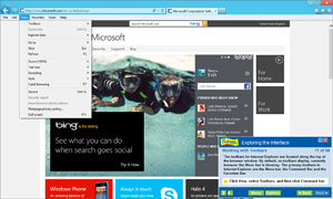 Learn Microsoft Internet Explorer 10
